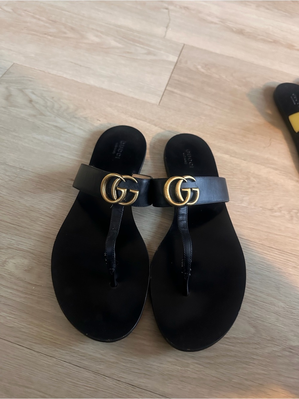 Gucci Box Label in Nero and Green